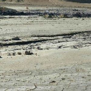 Meet your Posher, Bryan